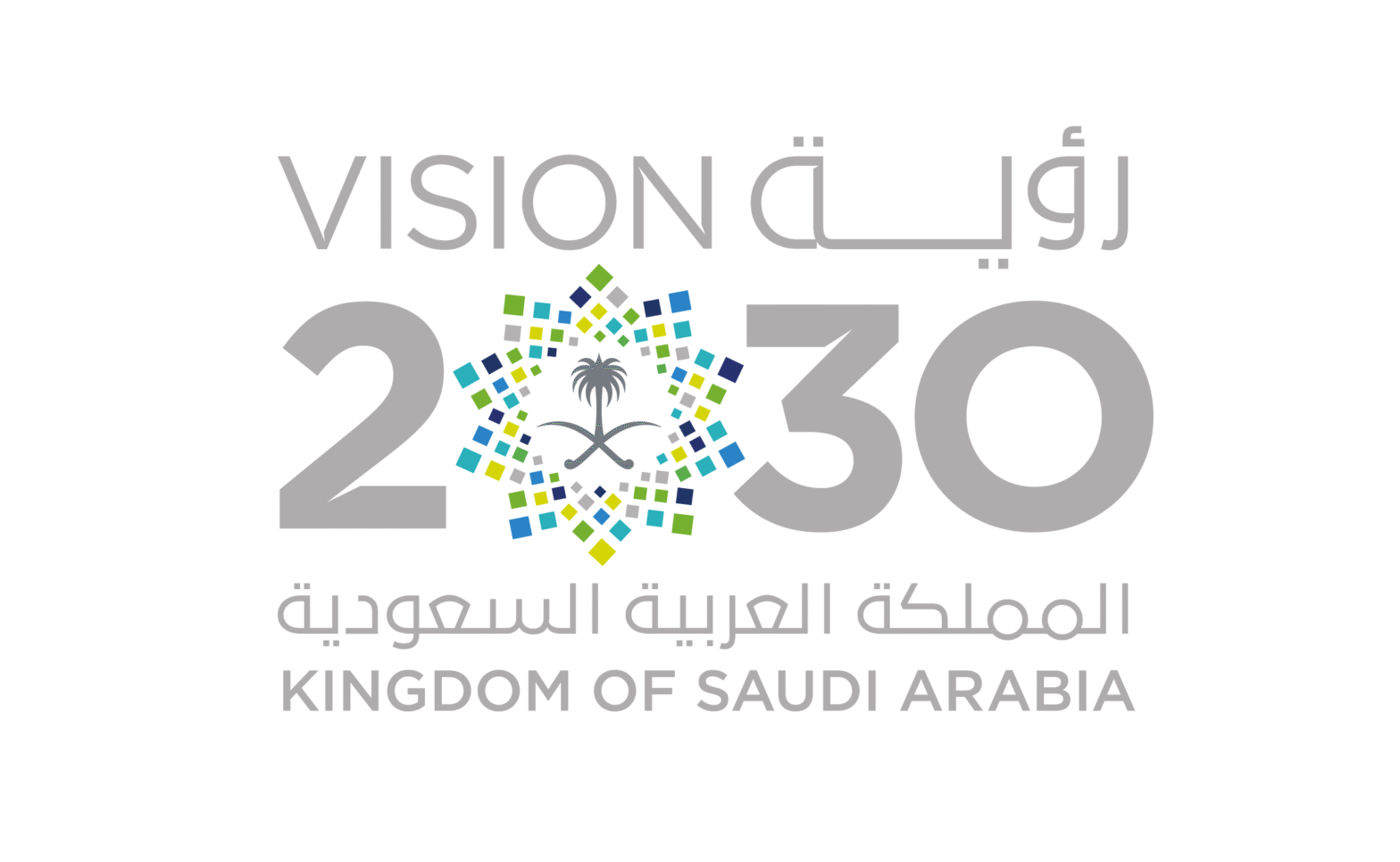 برنامج قادة 2030